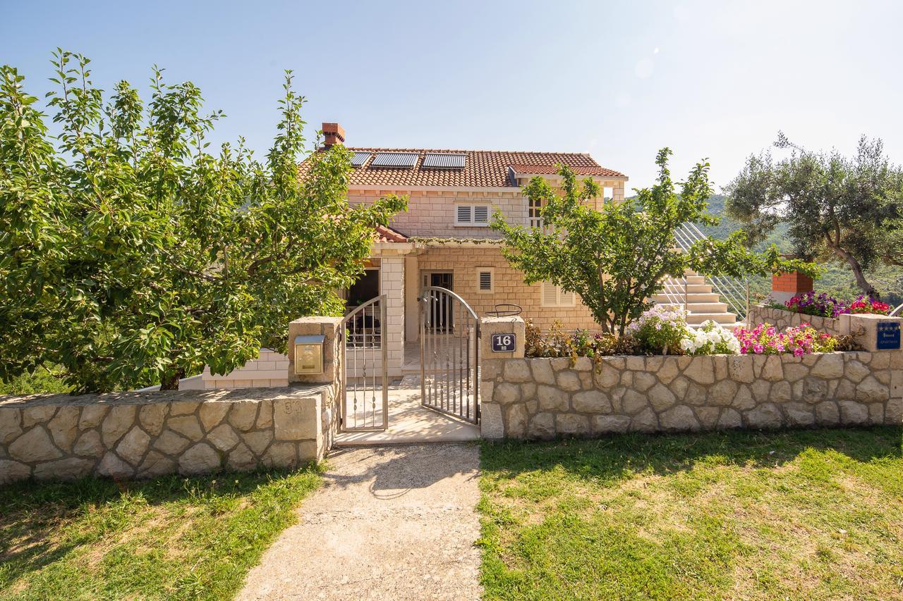 Green Paradise Apartments Mokošica Екстериор снимка